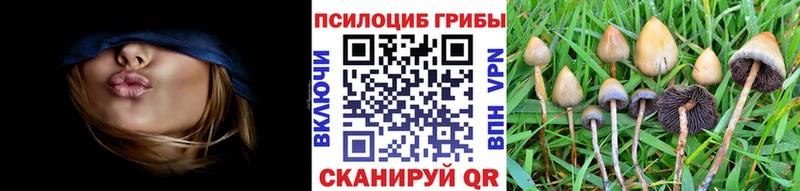 блэк спрут сайт Артёмовский Галлюциногенные грибы Cubensis